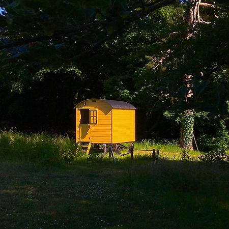 Blackstairs Shepherds Huts Killedmond Exteriör bild