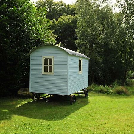 Blackstairs Shepherds Huts Killedmond Exteriör bild