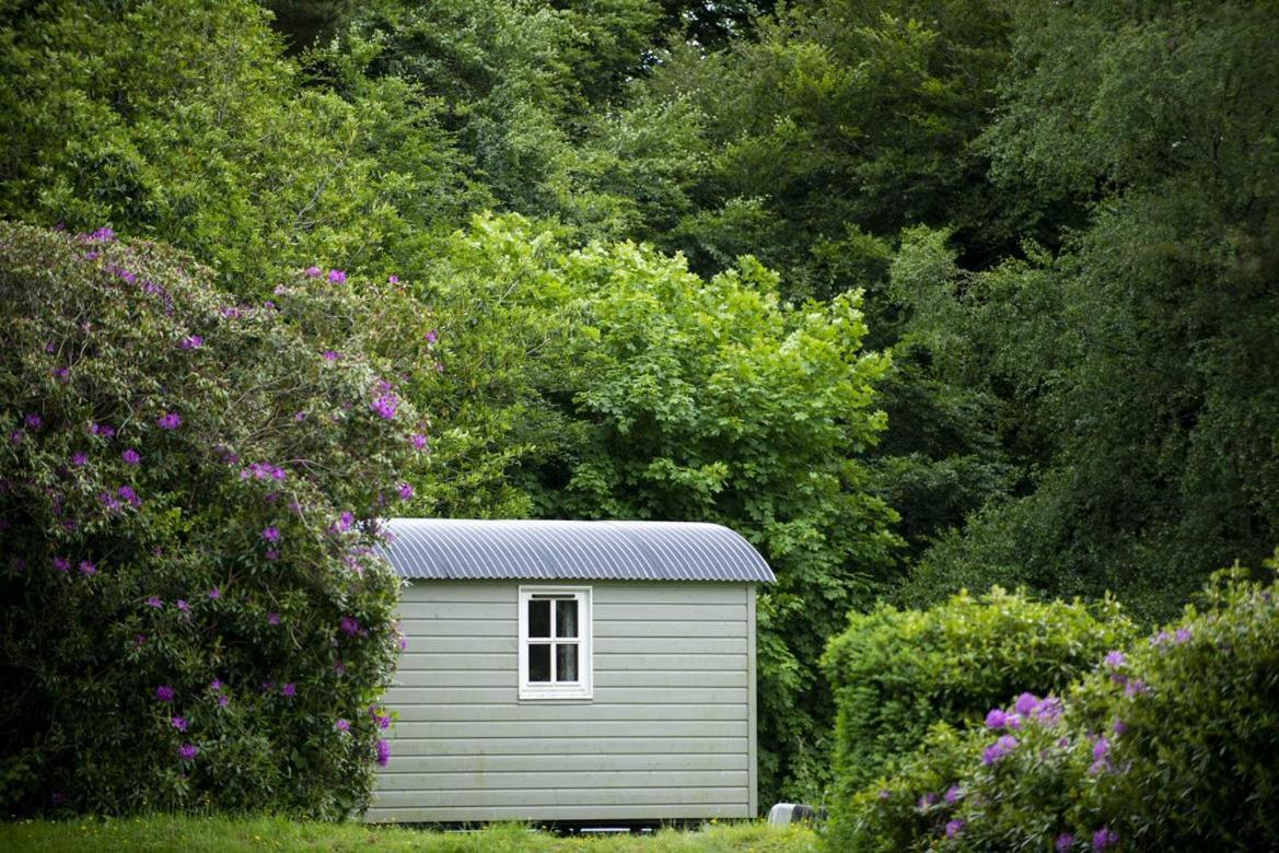 Blackstairs Shepherds Huts Killedmond Exteriör bild