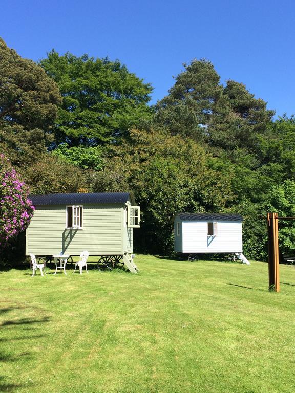 Blackstairs Shepherds Huts Killedmond Exteriör bild