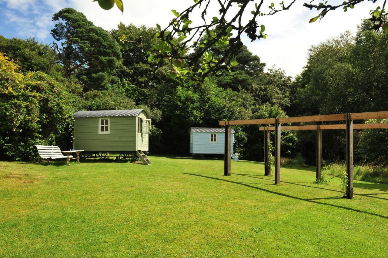 Blackstairs Shepherds Huts Killedmond Exteriör bild