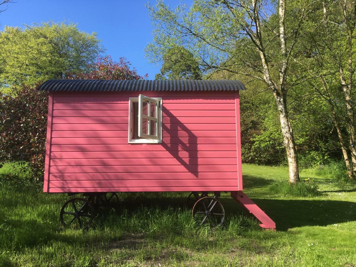 Blackstairs Shepherds Huts Killedmond Exteriör bild