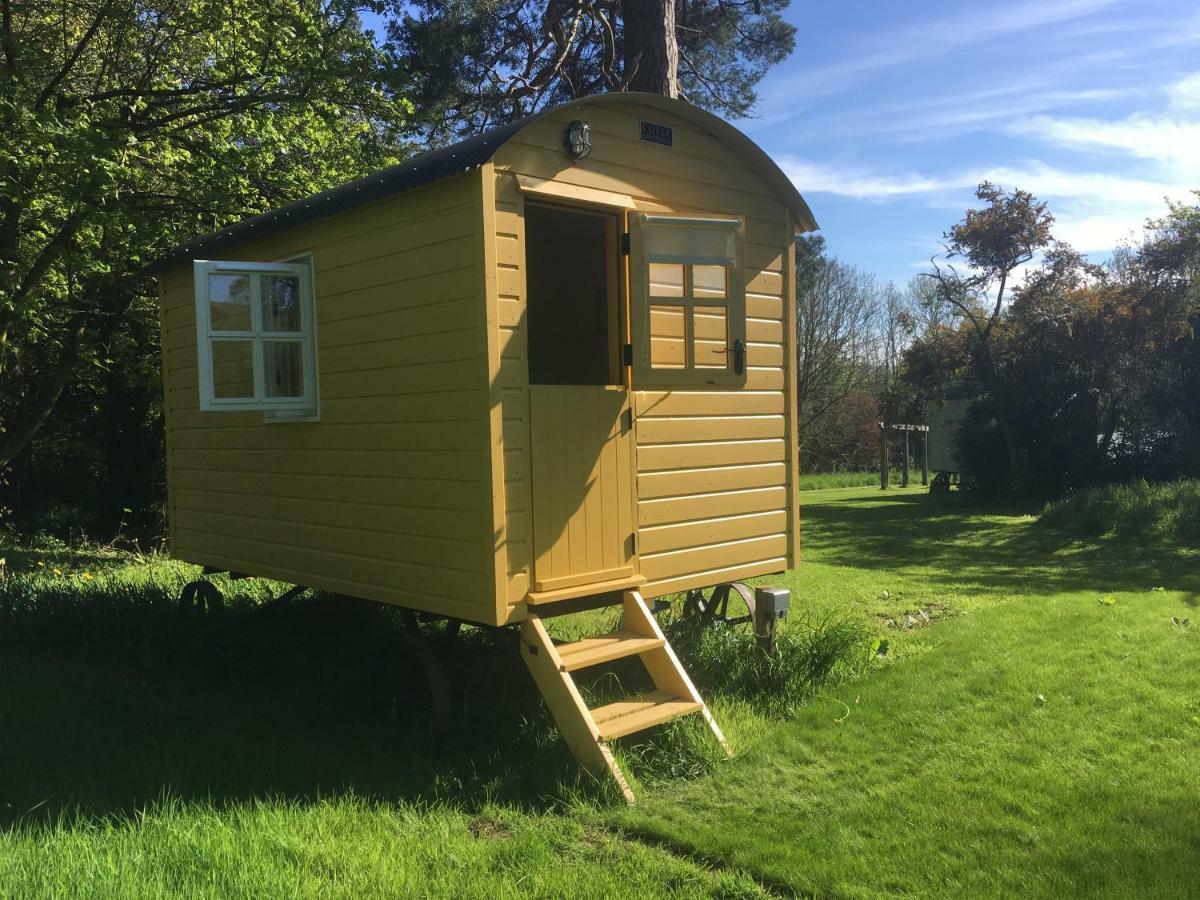 Blackstairs Shepherds Huts Killedmond Exteriör bild